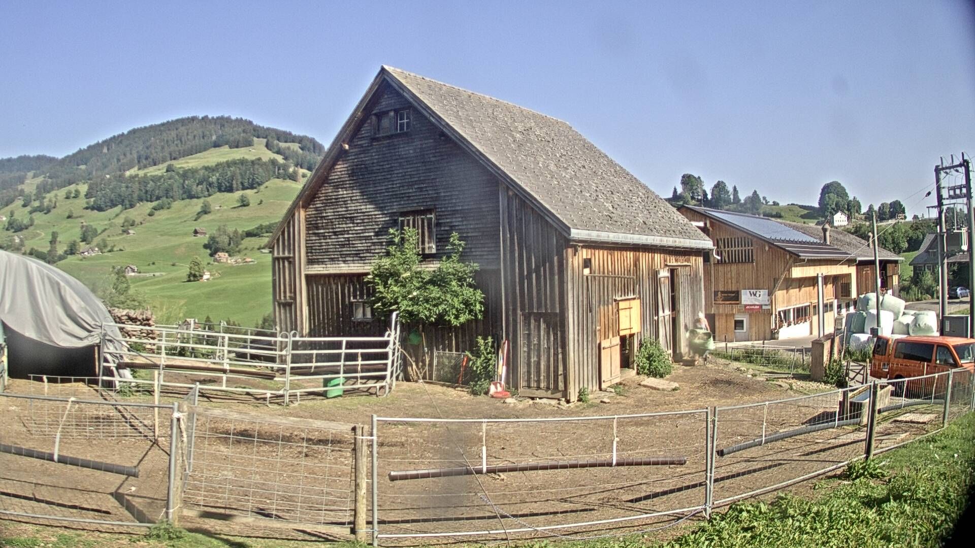 Nesslau: Stein: Toggenburg Alpakas