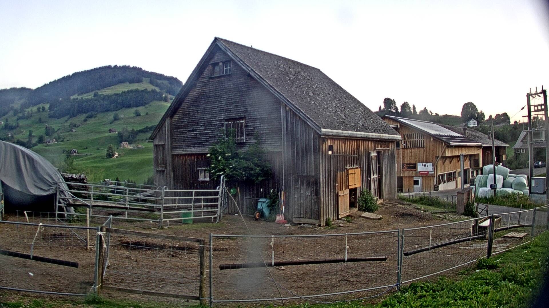Nesslau: Stein: Toggenburg Alpakas