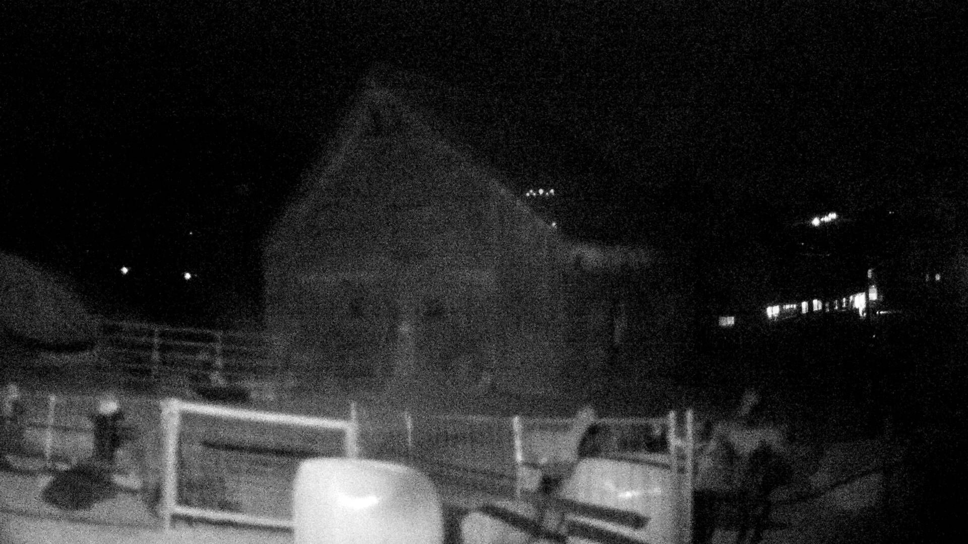 Nesslau: Stein: Toggenburg Alpakas