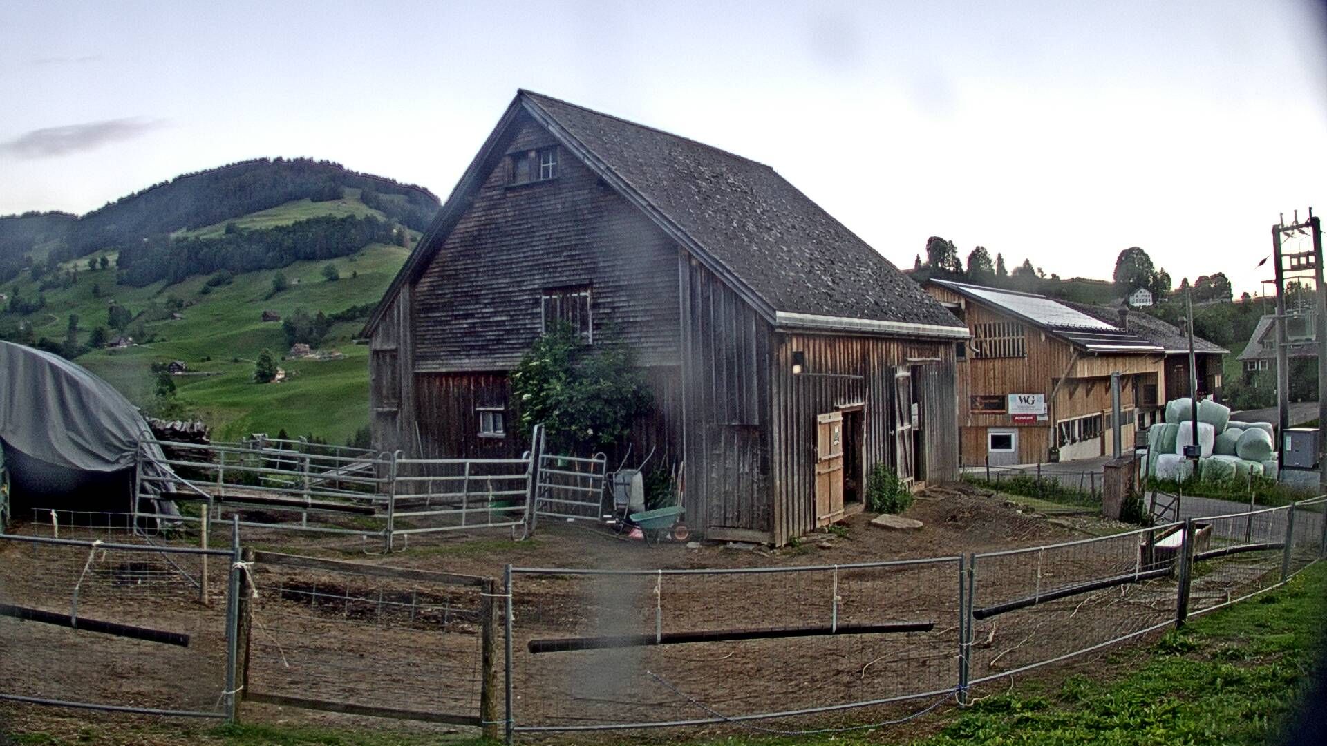 Nesslau: Stein: Toggenburg Alpakas