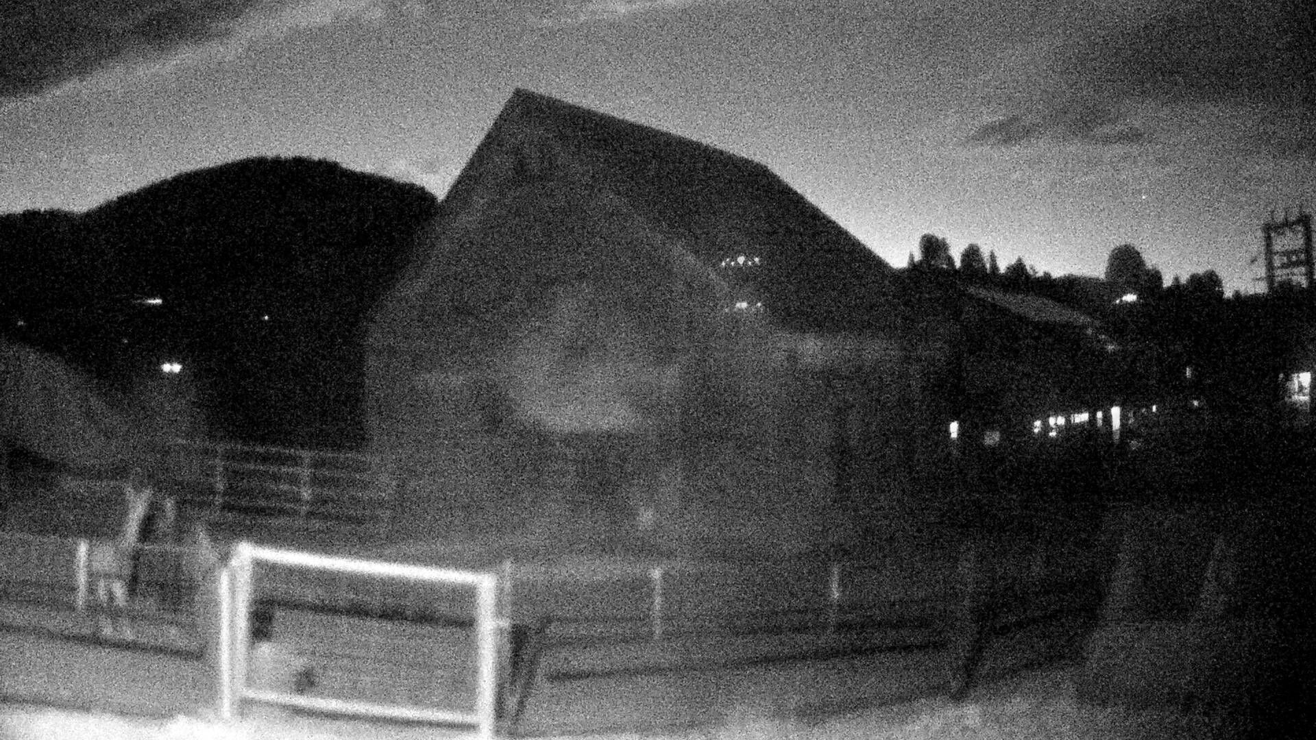 Nesslau: Stein: Toggenburg Alpakas