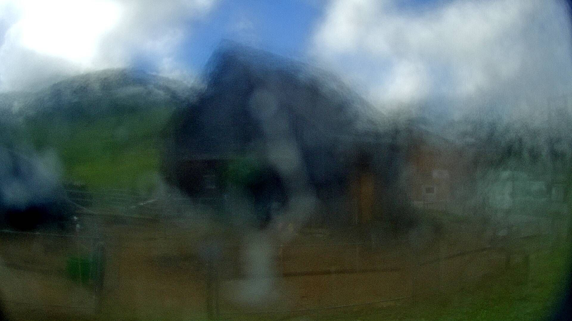 Nesslau: Stein: Toggenburg Alpakas