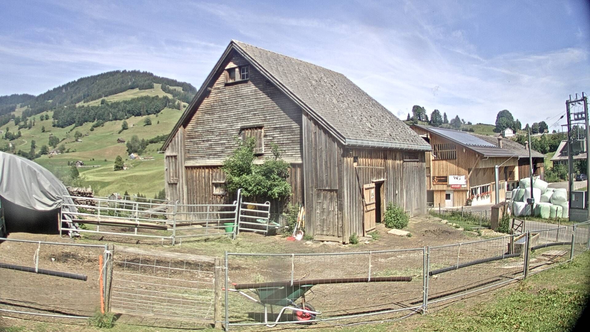 Nesslau: Stein: Toggenburg Alpakas