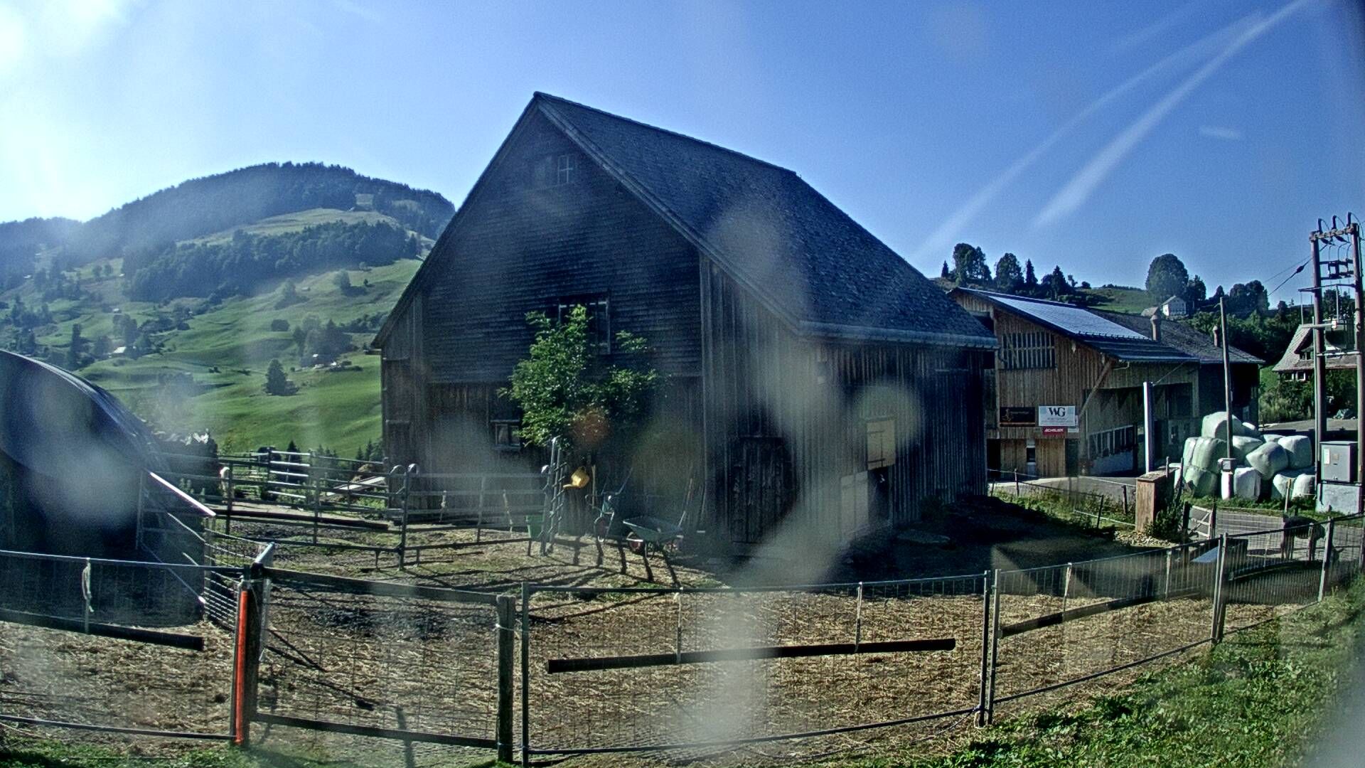Nesslau: Stein: Toggenburg Alpakas