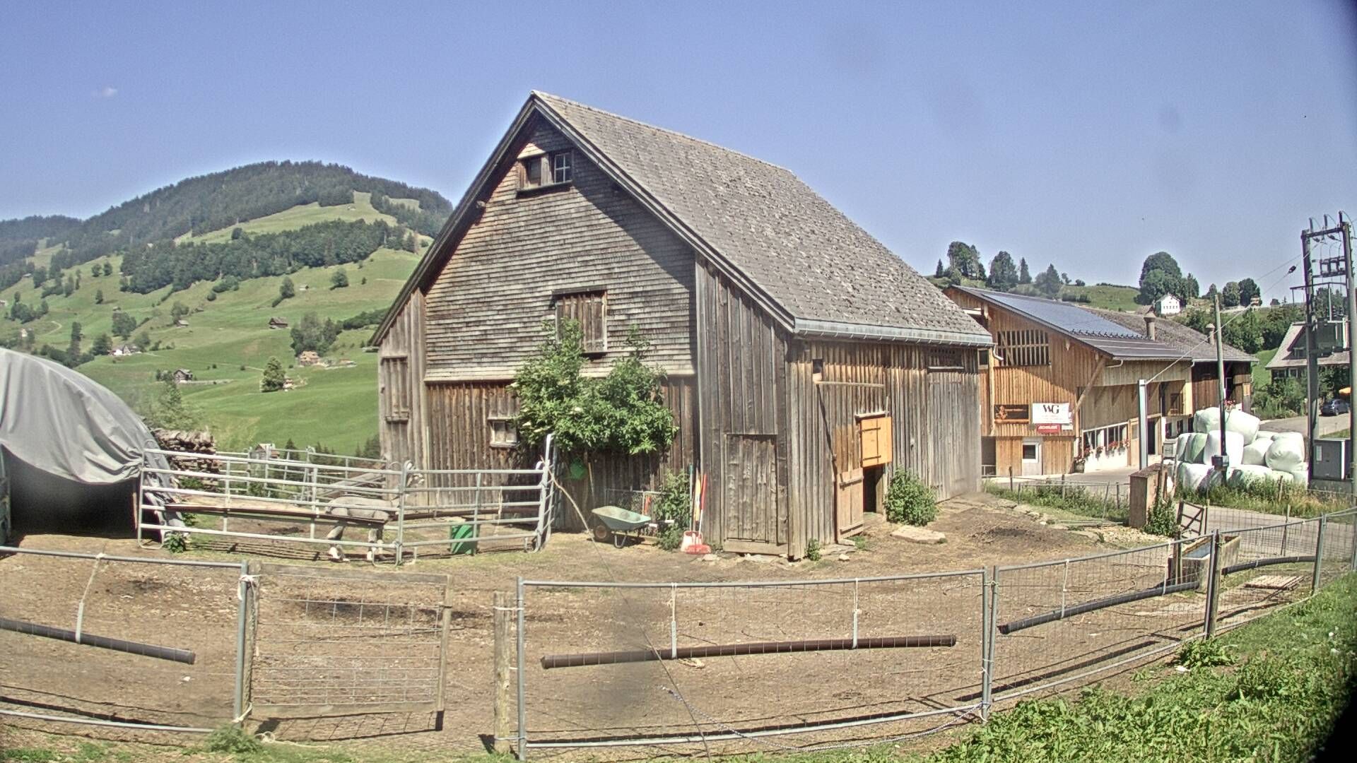 Nesslau: Stein: Toggenburg Alpakas