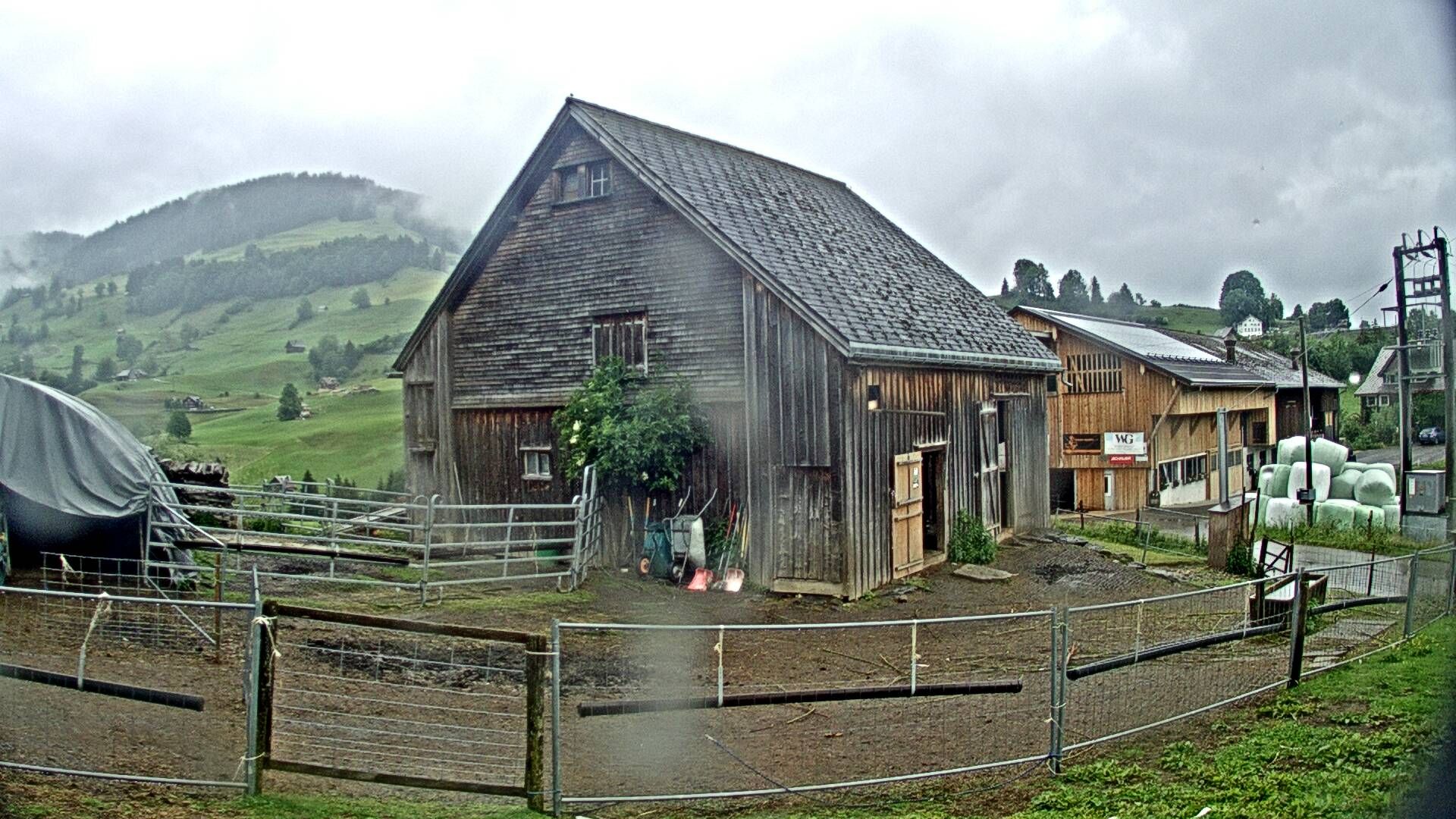 Nesslau: Stein: Toggenburg Alpakas