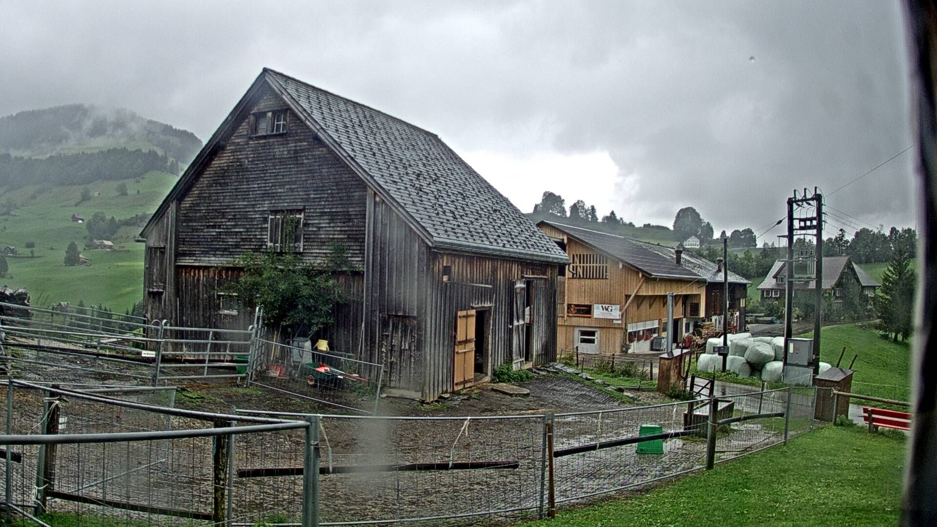 Stein: Toggenburg Alpakas