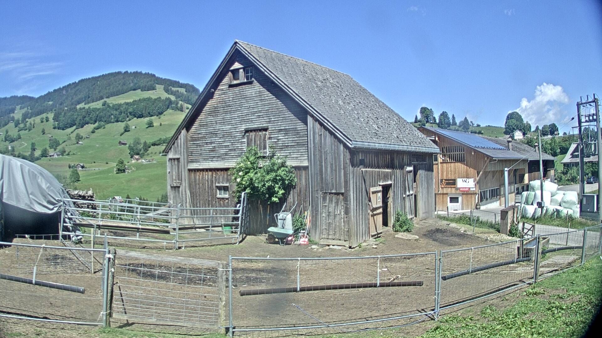 Nesslau: Stein: Toggenburg Alpakas