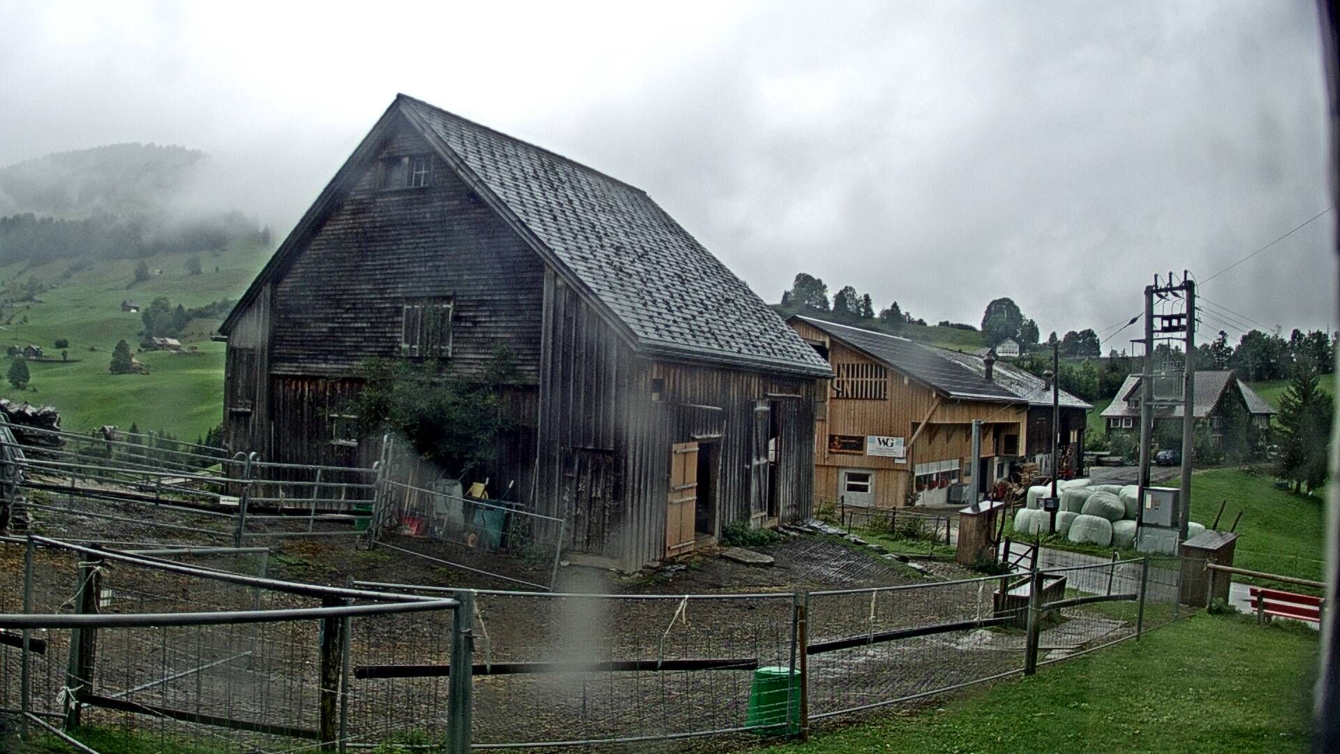 Stein: Toggenburg Alpakas