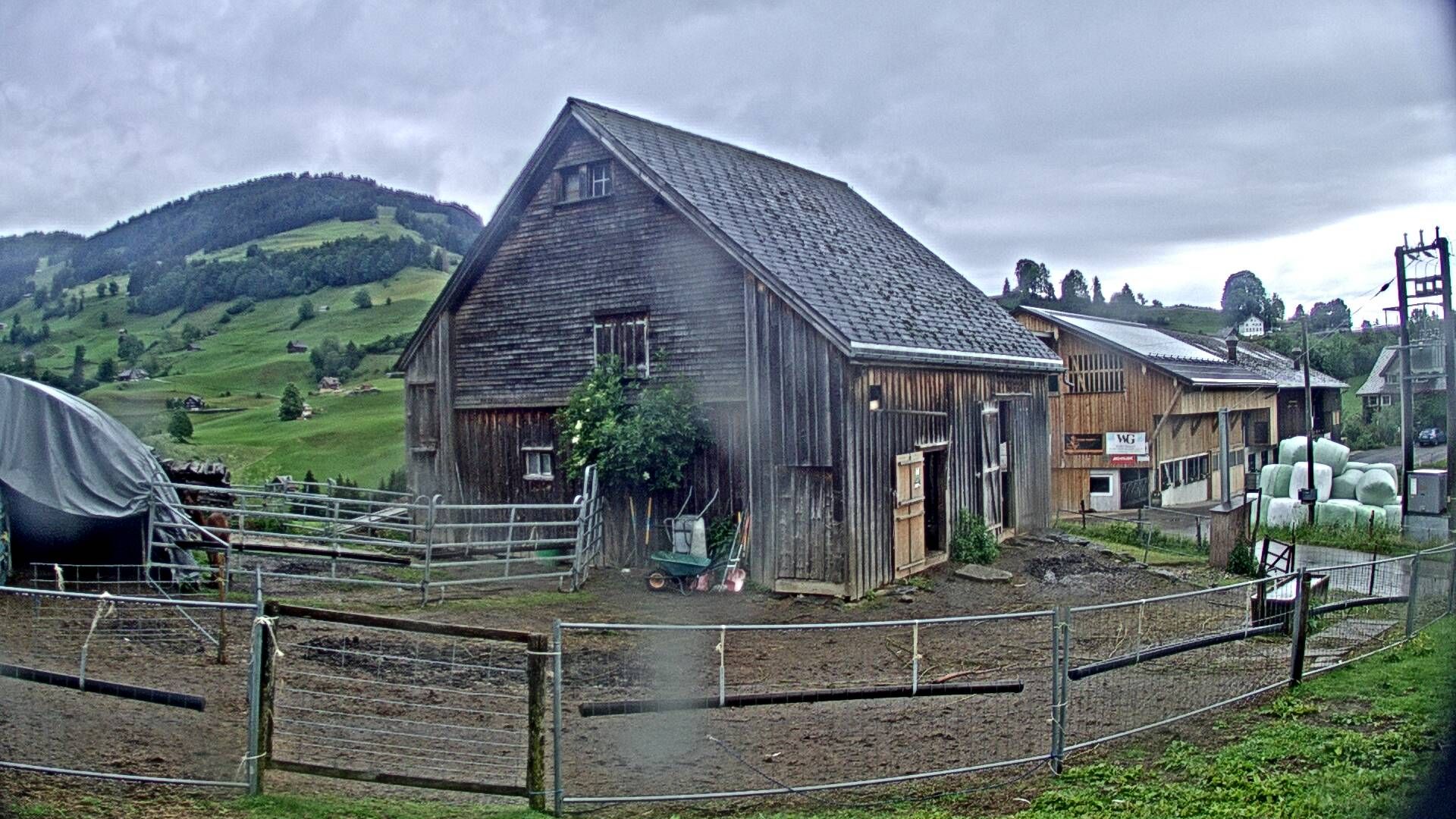 Nesslau: Stein: Toggenburg Alpakas