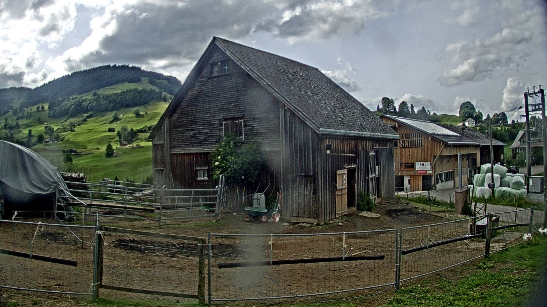 Nesslau: Stein: Toggenburg Alpakas