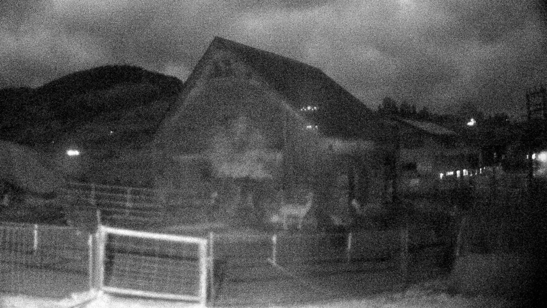 Nesslau: Stein: Toggenburg Alpakas