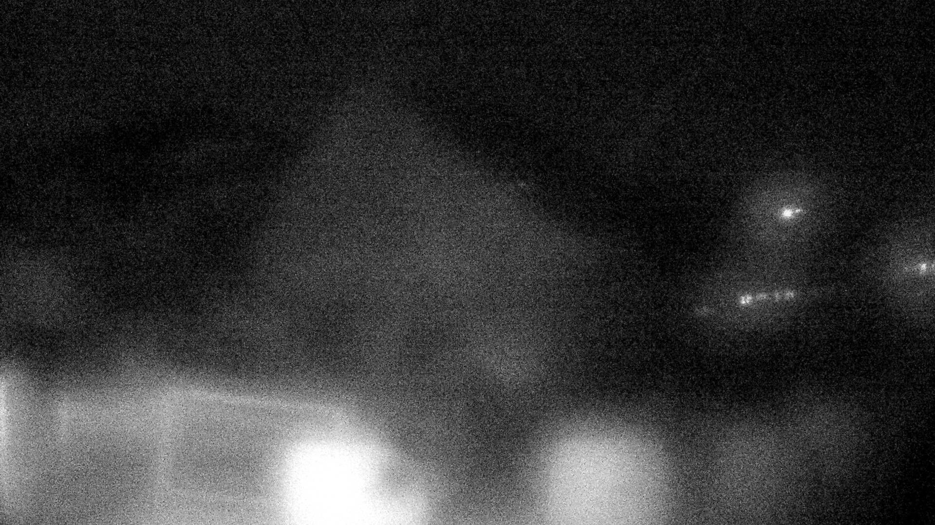 Nesslau: Stein: Toggenburg Alpakas