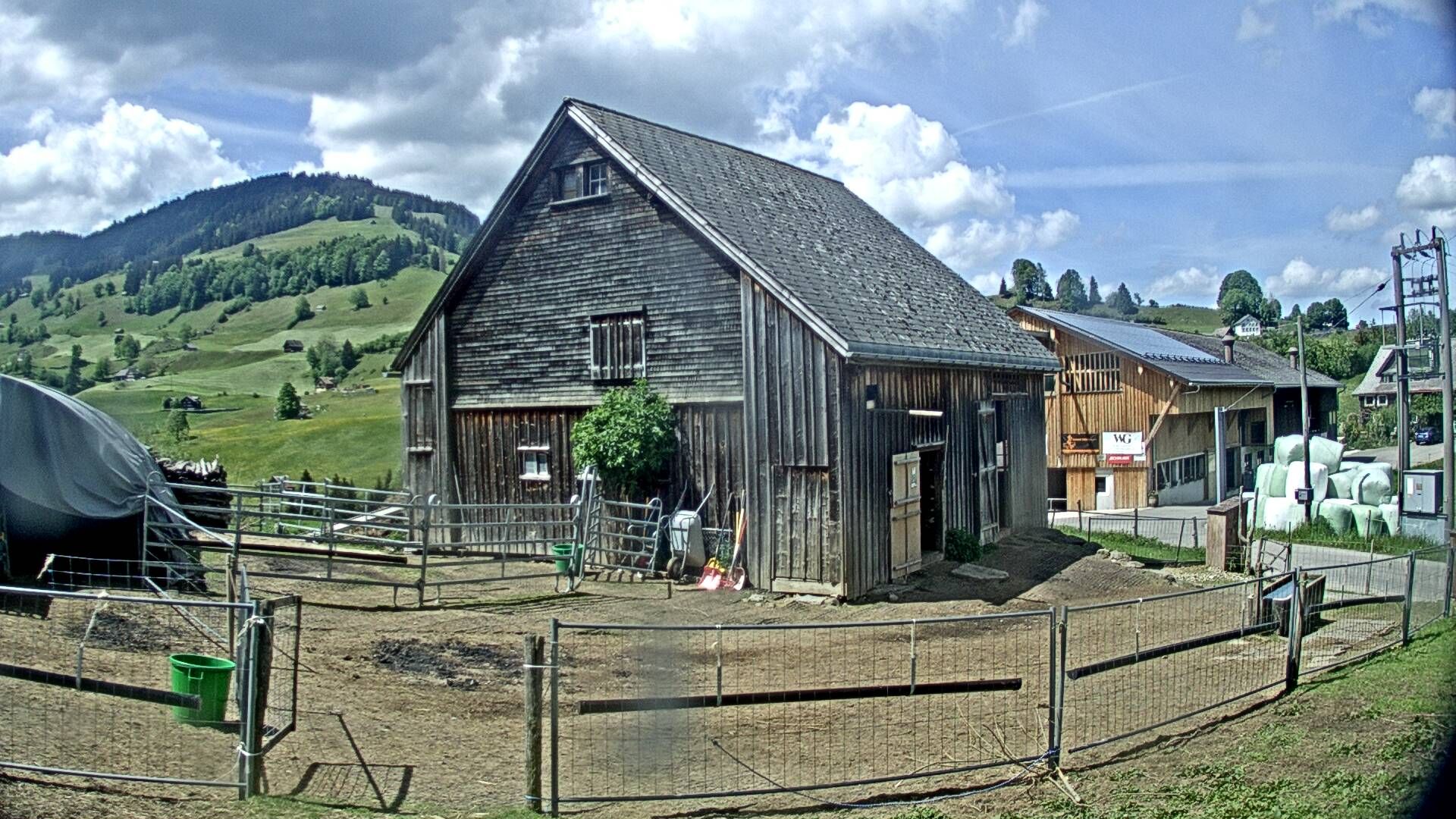 Nesslau: Stein: Toggenburg Alpakas