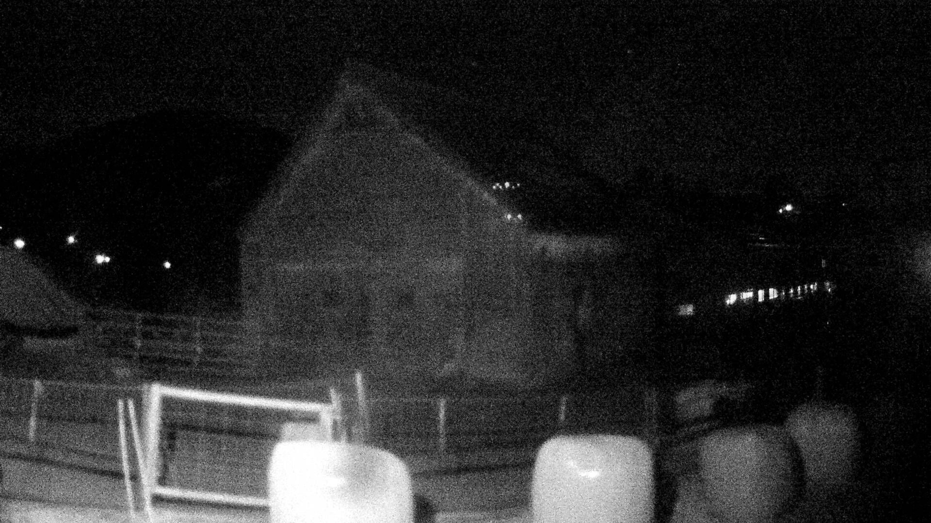 Nesslau: Stein: Toggenburg Alpakas