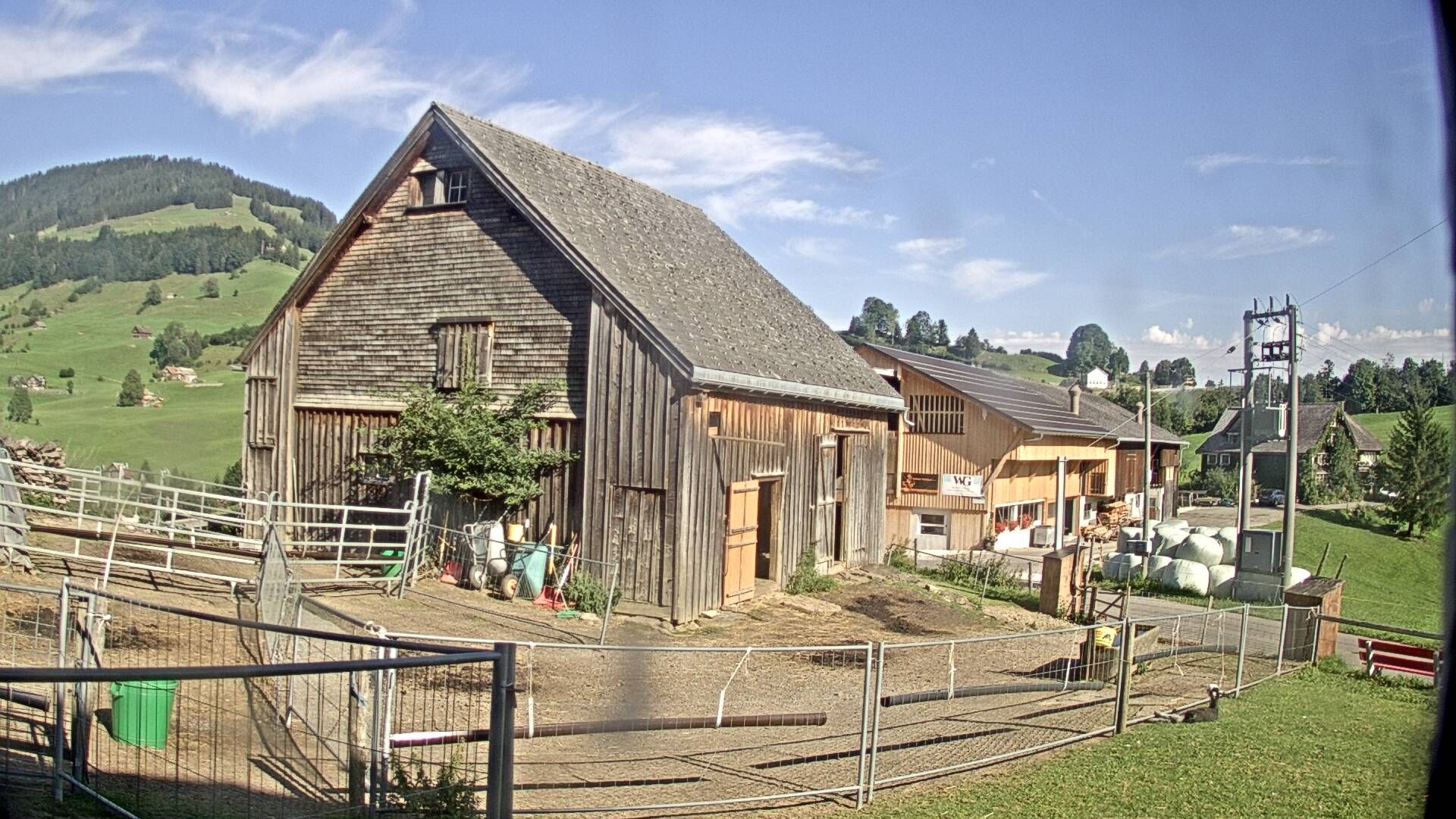 Stein: Toggenburg Alpakas