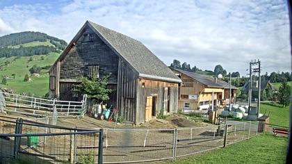 Stein: Toggenburg Alpakas