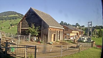 Stein: Toggenburg Alpakas