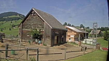 Stein: Toggenburg Alpakas