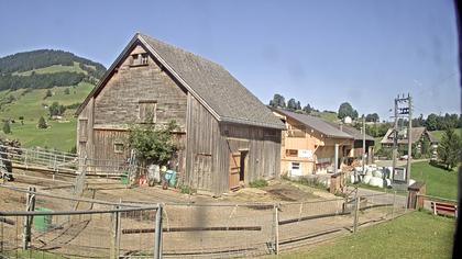 Stein: Toggenburg Alpakas