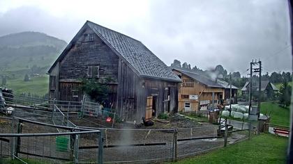 Stein: Toggenburg Alpakas