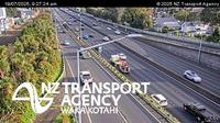 Auckland: S Greenlane