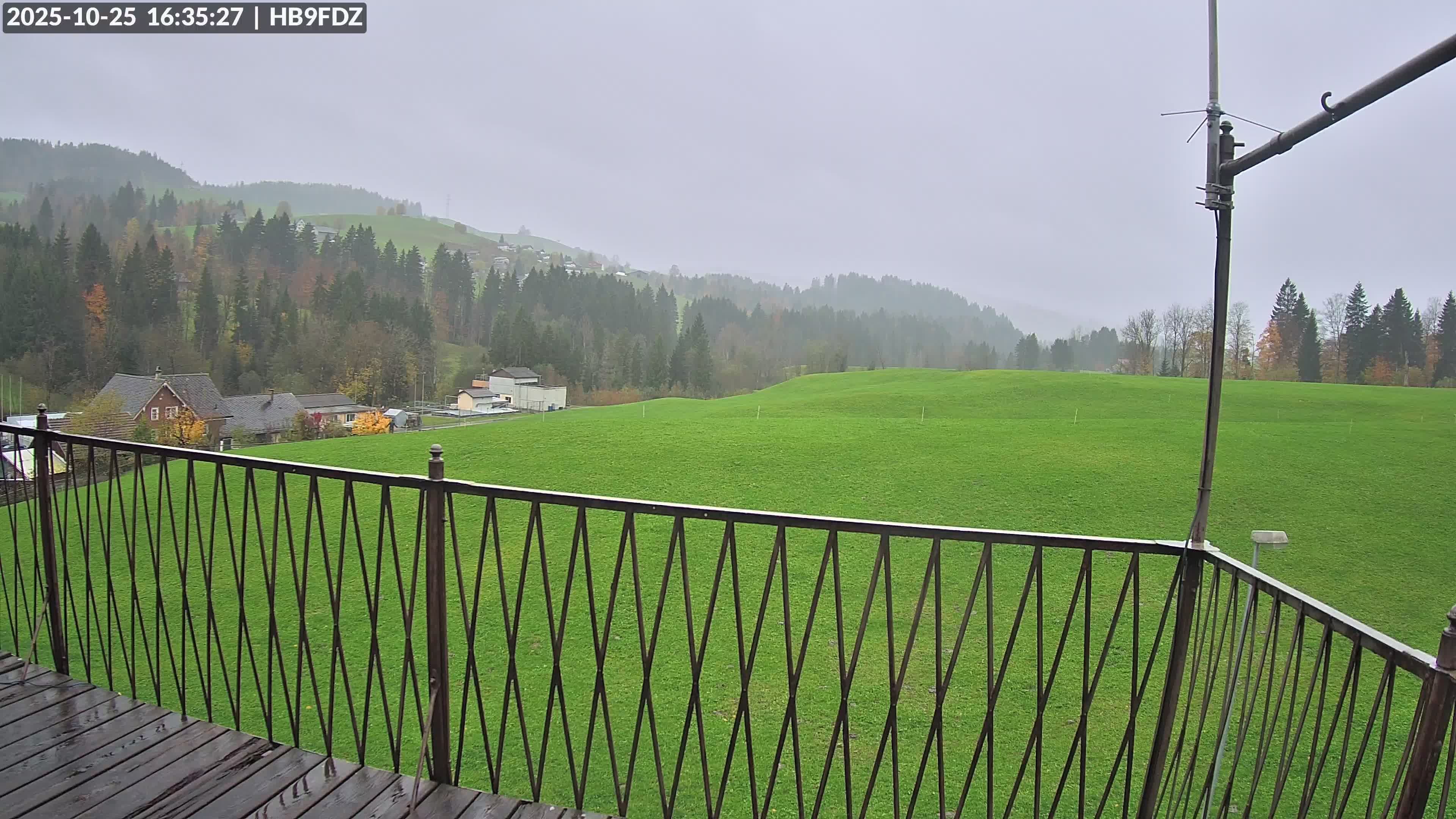 Schönengrund: Wald