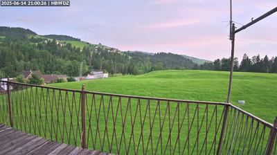 Schonengrund: Wald
