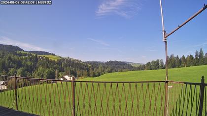 Schönengrund: Wald