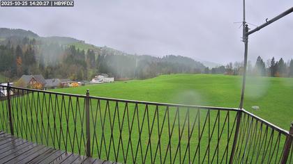 Schönengrund: Wald