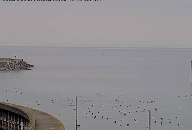Arbon: Arbon (See) - Bodensee Wetter Swiss Webcams