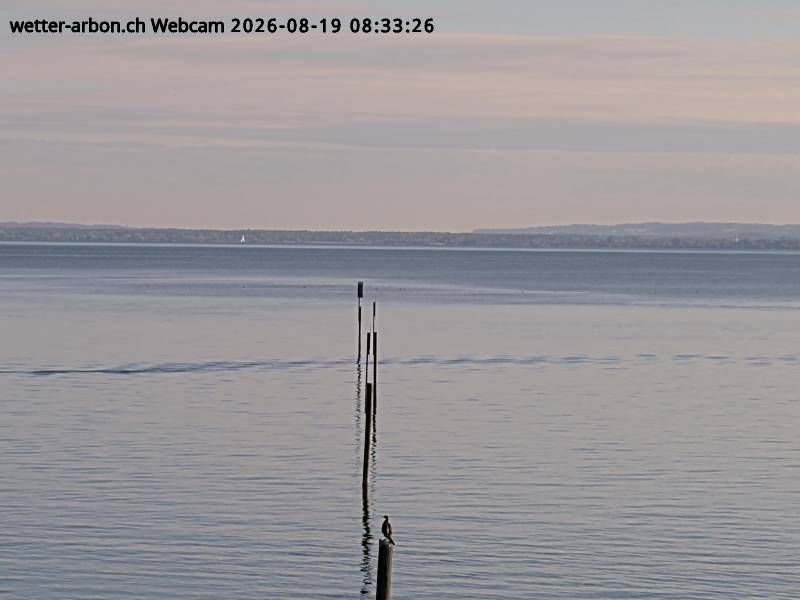 Arbon: Arbon (See) - Bodensee