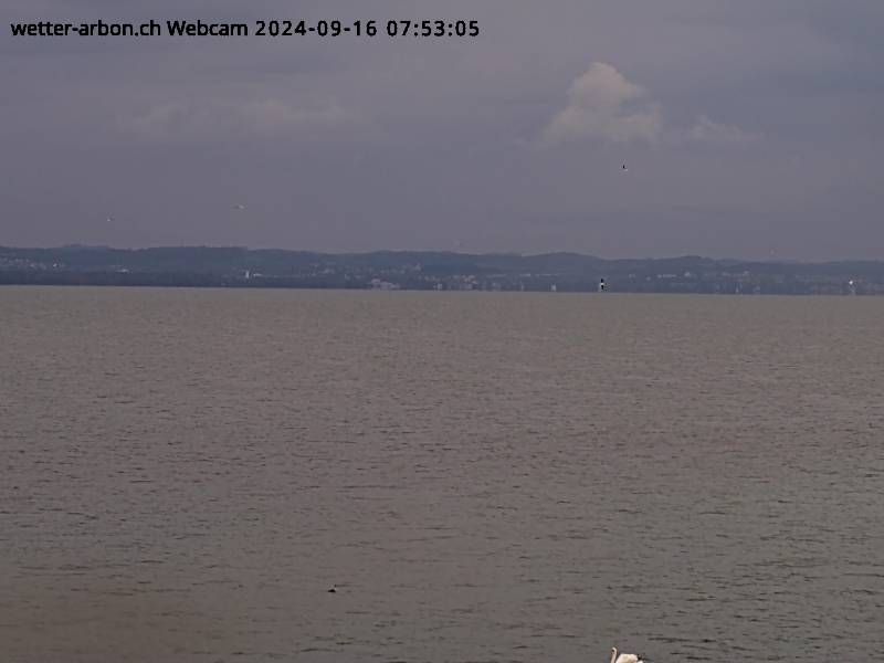 Arbon: Arbon (See) - Bodensee