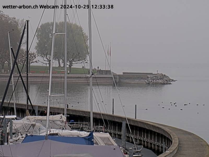 Arbon: Arbon (See) - Bodensee