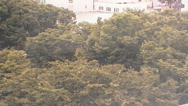 Sendai landscape Webcam