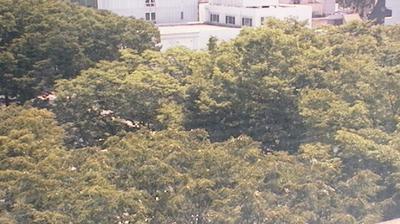 Sendai today