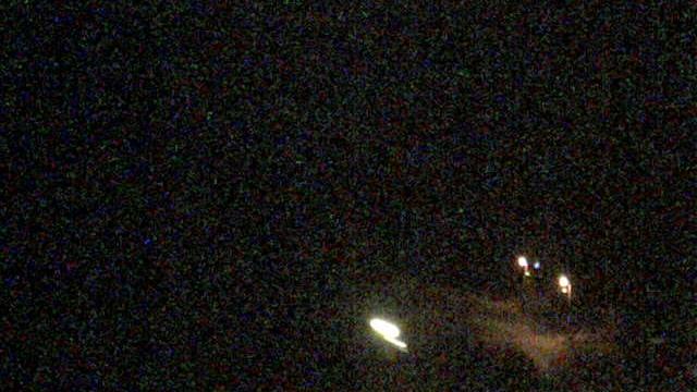 Harxbuttel forest Webcam