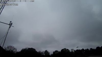 Monroe Daytime Webcam Image