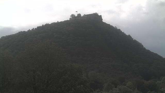 Erkenbrechtsweiler forest Webcam