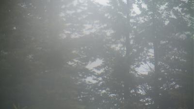 Vorschaubild von Webcam West Glacier um 5:16, Sept 26