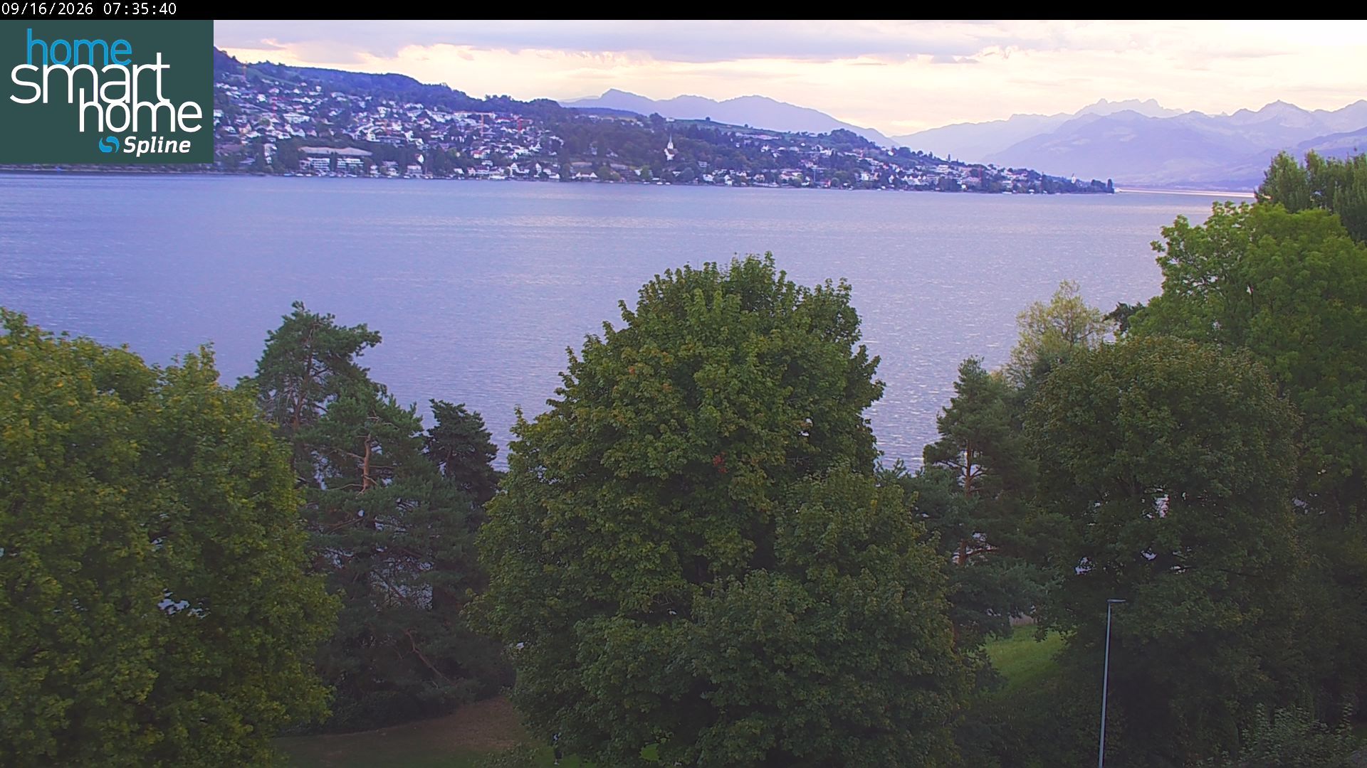 Thalwil › Osten: Seestrasse 93 - Spline AG - Home Smart Home - Zürichsee