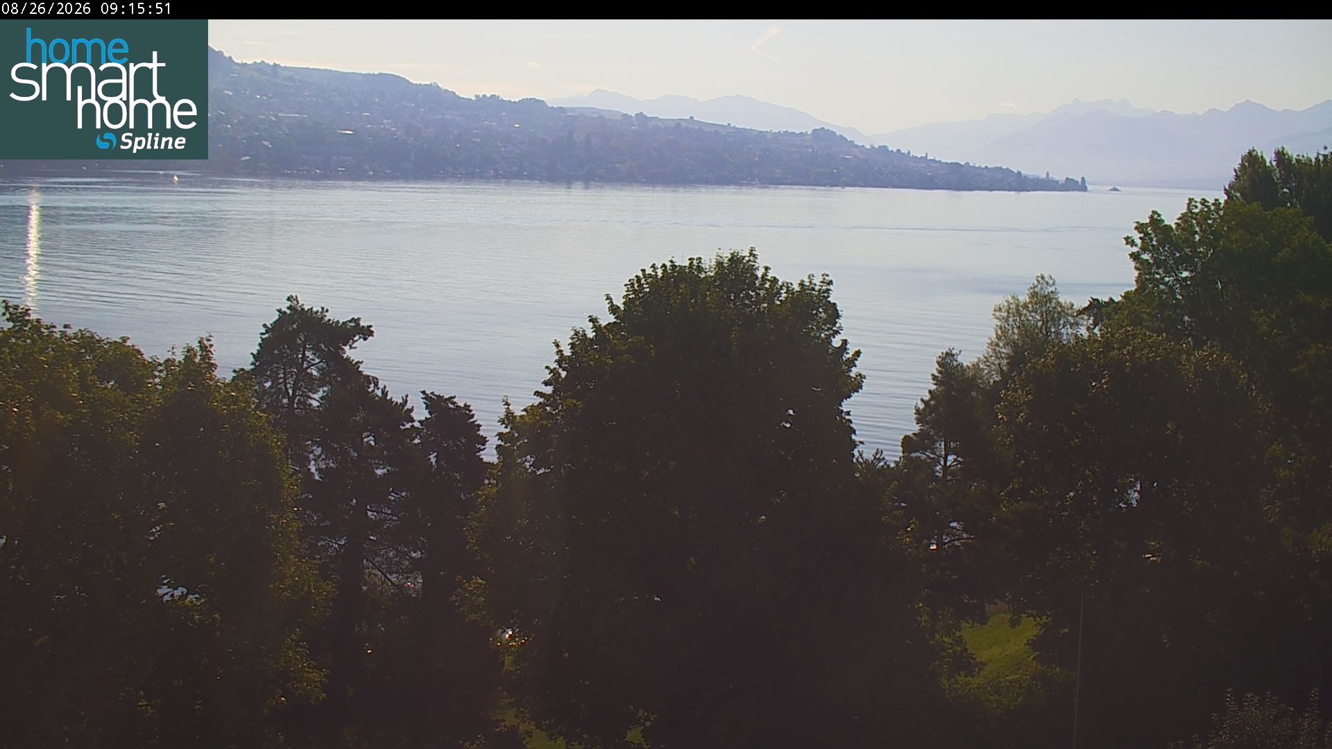 Thalwil › Osten: Seestrasse 93 - Spline AG - Home Smart Home - Zürichsee