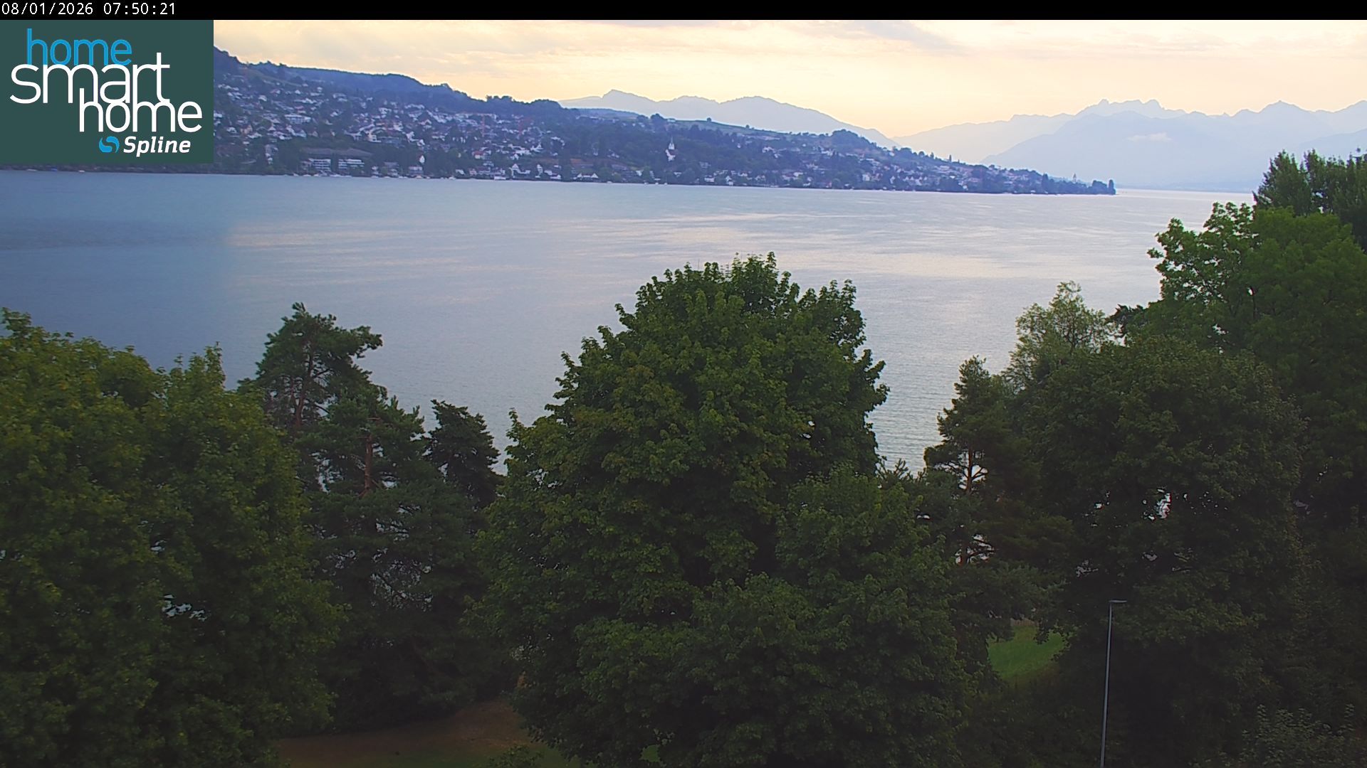 Thalwil › Osten: Seestrasse 93 - Spline AG - Home Smart Home - Zürichsee