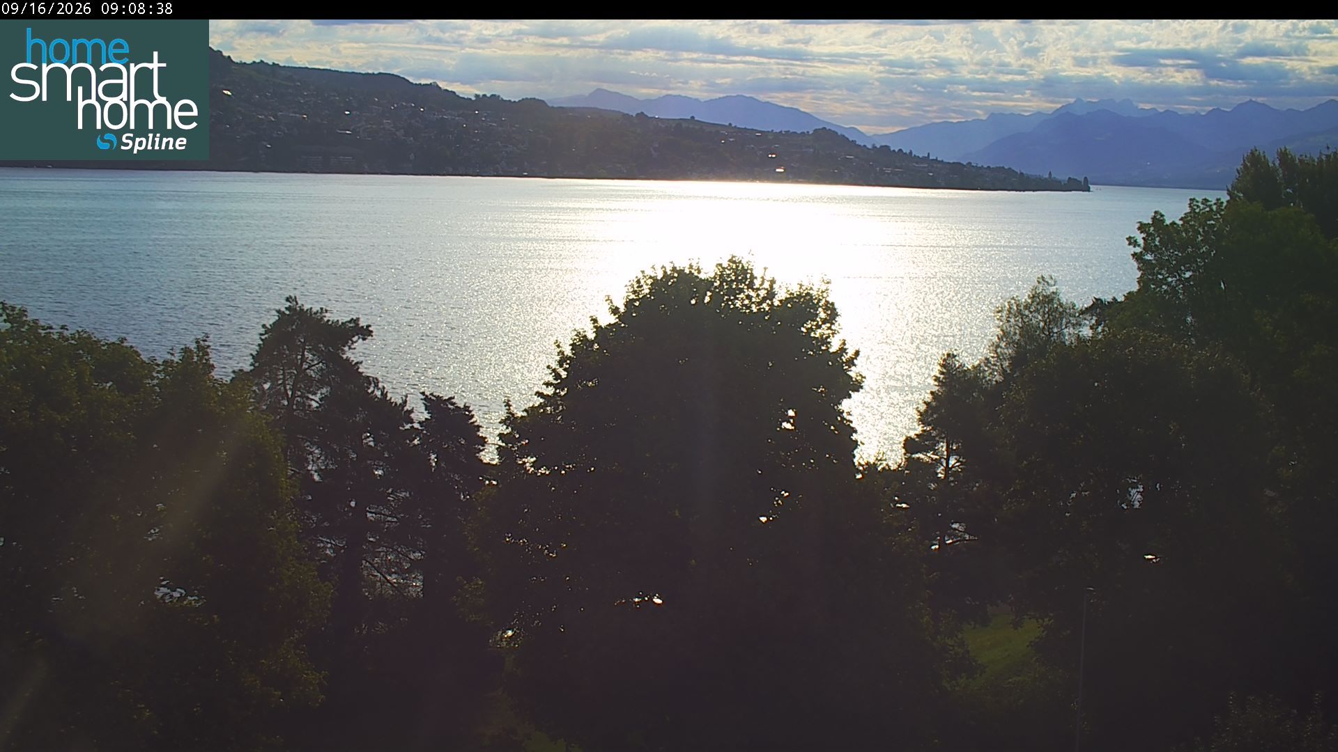 Thalwil › Osten: Seestrasse 93 - Spline AG - Home Smart Home - Zürichsee