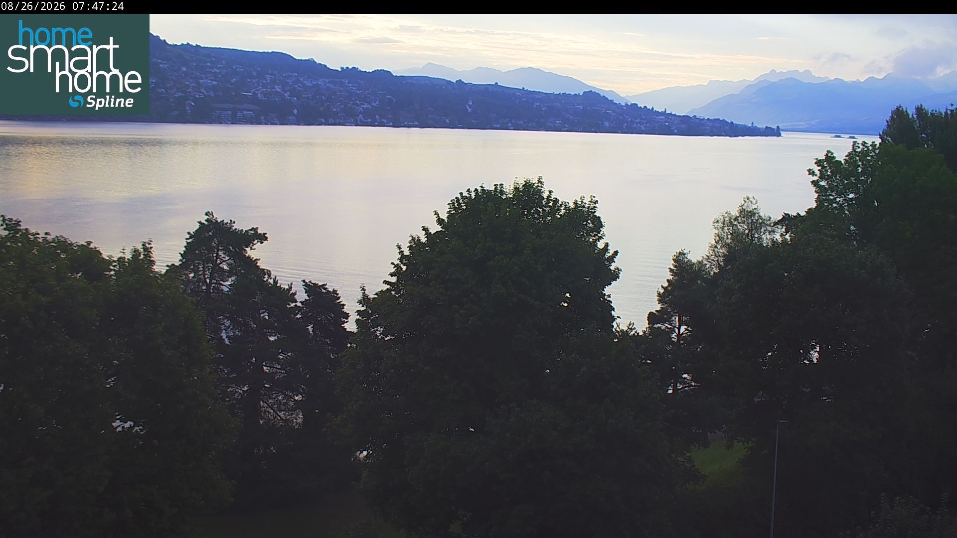 Thalwil › Osten: Seestrasse 93 - Spline AG - Home Smart Home - Zürichsee