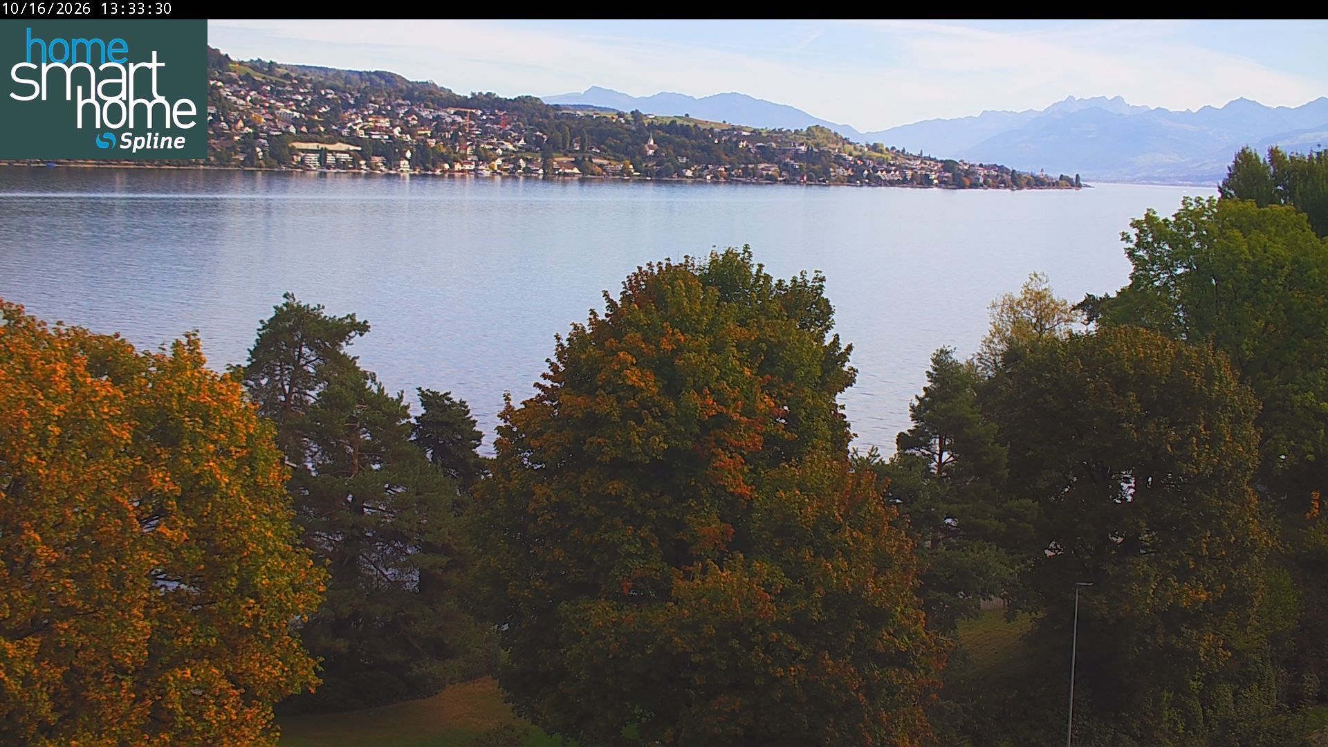 Thalwil › Osten: Seestrasse 93 - Spline AG - Home Smart Home - Zürichsee