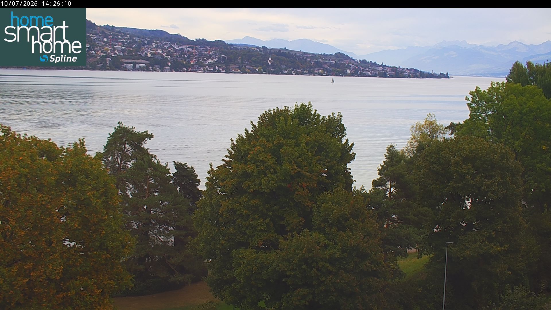 Thalwil › Osten: Seestrasse 93 - Spline AG - Home Smart Home - Zürichsee