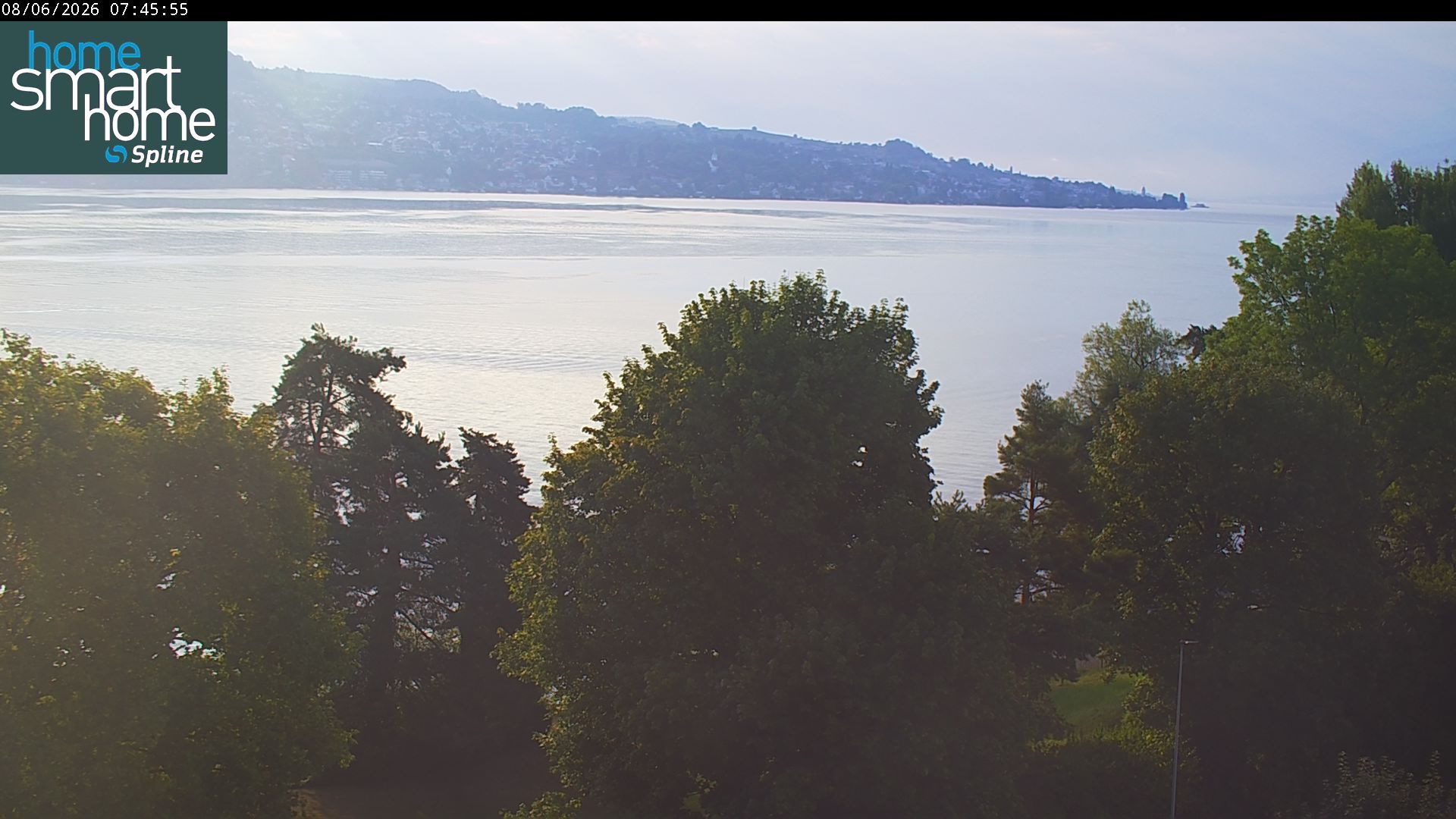 Thalwil › Osten: Seestrasse 93 - Spline AG - Home Smart Home - Zürichsee