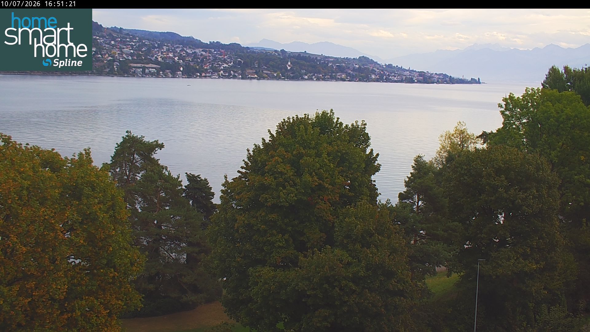 Thalwil › Osten: Seestrasse 93 - Spline AG - Home Smart Home - Zürichsee