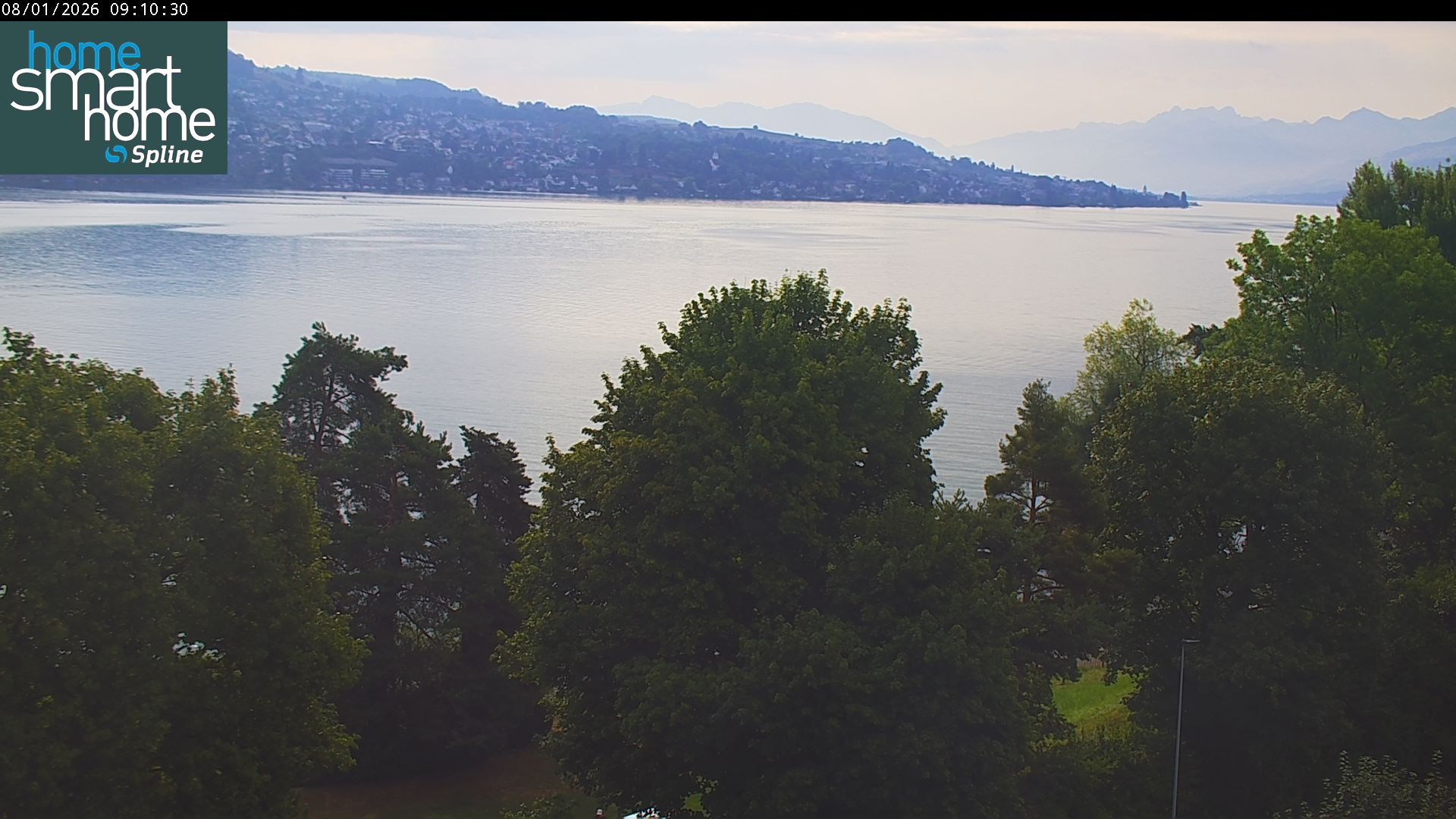 Thalwil › Osten: Seestrasse 93 - Spline AG - Home Smart Home - Zürichsee